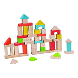 EverEarth Ecologic 50 Piece Building Blocks