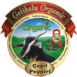 Gelibolu Organic 100% Goat Chechil Cheese 250g