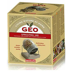 Geo Sprouting Jar