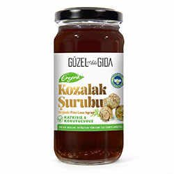 GÜZEL GIDA Organik Kozalak Şurubu 230ml