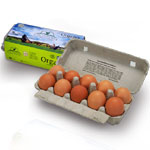 KOR Organic Eggs 10 Pcs