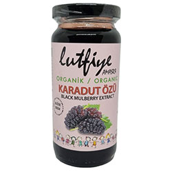 Lütfiye Organic Blackberry Extract 300g