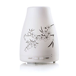 Ocelia Ultrasonic Diffuser