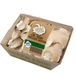 Or-Man Organic Oyster Mushroom 400g