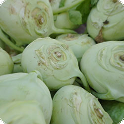 Ersöz Organic Turnip Cabbage (Pcs)