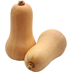 Organik Balkabağı Butternut  KG 