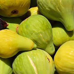 DEĞİRMEN ÇİFTLİĞİ Organic Fig (White) (KG)