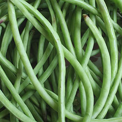 Cityfarm Organic Cow Pea (KG)