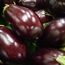 Cityfarm Organic Bell Eggplant (KG)