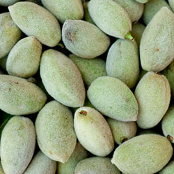 DEĞİRMEN ÇİFTLİK Organic Green Almond (KG)