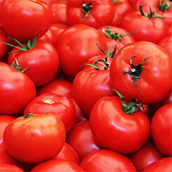 Organic Tomato (KG)