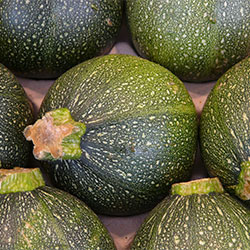 DEĞİRMEN ÇİFTLİĞİ Organic Zucchini (Ball) (KG)