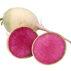 Beypazarı Organic Chinese Radish  KG 