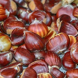 Karlıdağ Organic Chestnut (KG)