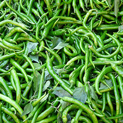 Çiftlik Koy Organic Green Pepper  Fine  Hot   KG 