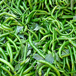 Çiftlik Koy Organic Green Pepper  Fine  Sweet   KG 