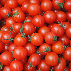 Kale Organic Cherry Tomato (KG)