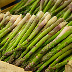 Ekolojik İmece Organik Asparagus (Pcs)