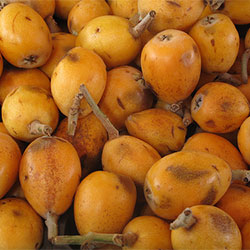 DEĞİRMEN ÇİFTLİĞİ Organic Japanese Plum (KG)