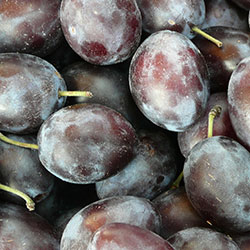 Cityfarm Organic Damson Plum (KG)