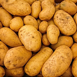 Sisar Organic Taşköprü Potato 1Kg