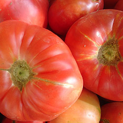 DEĞİRMEN ÇİFTLİĞİ Pink Tomato (KG)