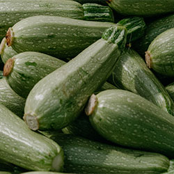 MimSera Organic Zucchini  KG 