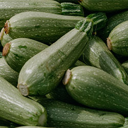 Organic Zucchini  KG 