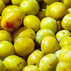 DEĞİRMEN ÇİFTLİĞİ Organic Yellow Plum (KG)