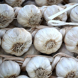 MimSera Organic Garlic  KG 