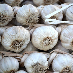 MimSera Organic Garlic (KG)