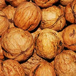 Değirmen Çiftliği Organic Unshelled Walnut (KG)