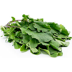 Organik Yabani Hardal  İtalyan Rokası   DEMET 