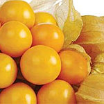 Cityfarm Organic Golden Berry (kG)