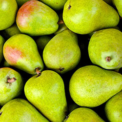 KAPOR Organic Pear  KG 