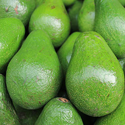 Elif Organic Avocado (KG)