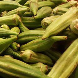 Cityfarm Organic Okra (KG)