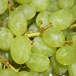 Cityfarm Organic White Grape (Kg)