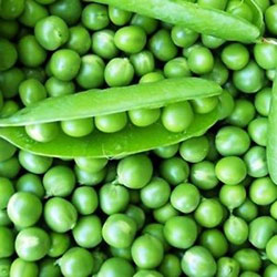 Kale Organic Peas (KG)