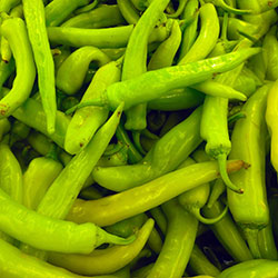 Çiftlik Köy Organic Banana Pepper  KG 