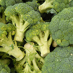 MimSera Organic Broccoli (KG)