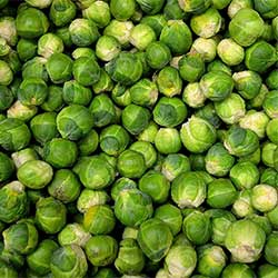 Ersöz Organic Brussel Sprouts (KG)