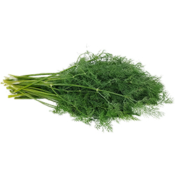 MimSera Organic Dill Pcs 