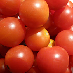 KAPOR Organic Tomato  KG 