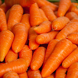 Akçakavak Organic Carrot  KG 