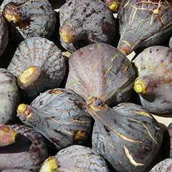 DEĞİRMEN ÇİFTLİĞİ Organic Fig (Black) (KG)