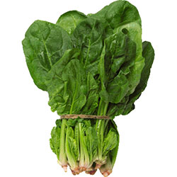 MimSera Organic Spinach  KG 