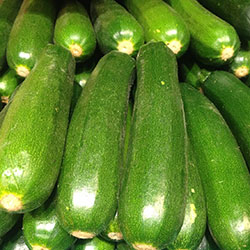 KALE Organic Zucchini (Girit) (KG)