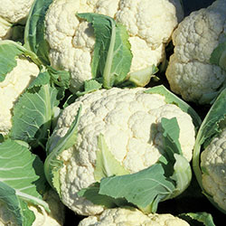 MimSera Organic Cauliflower (KG)