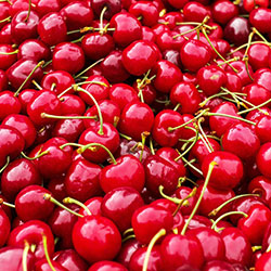 Karlıdağ Organic Cherry 500g